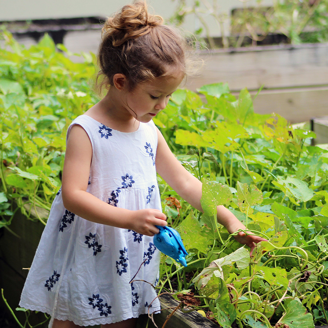 kids and nature