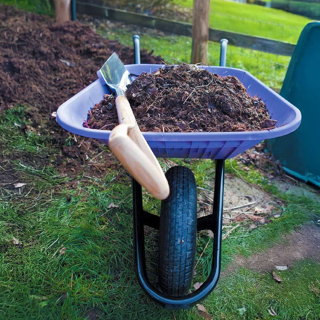 Choosing the Right Types of Mulch for Your Garden
