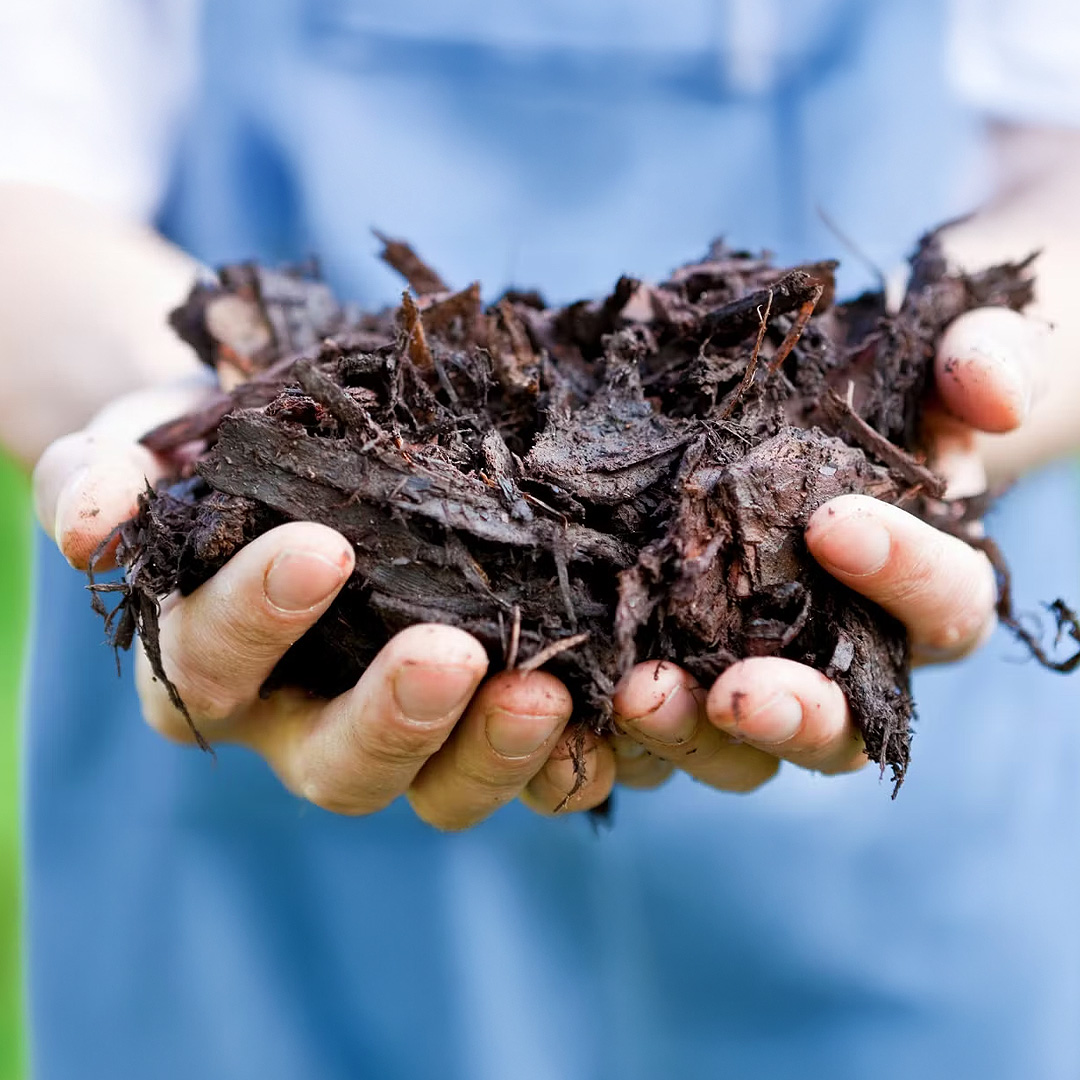 More Than Just Mulch