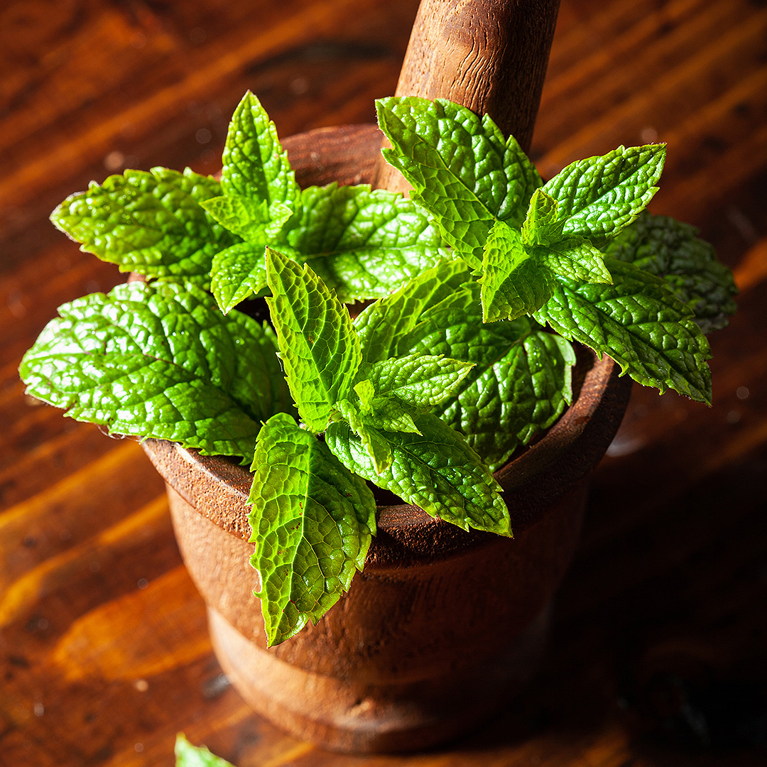 Get Your Mint On!