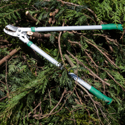 holiday decorating ideas