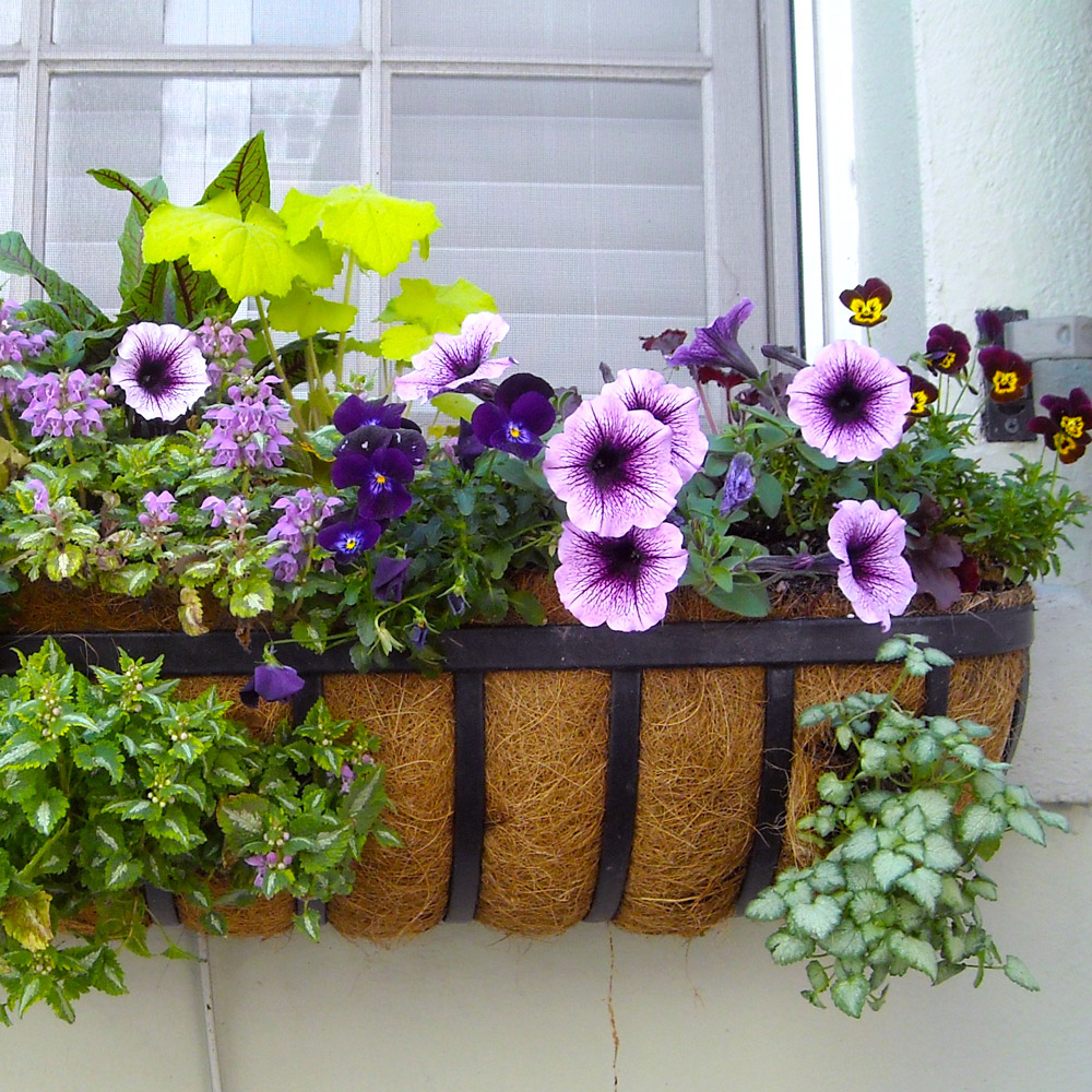 Window box gardening containers and plant arrangements