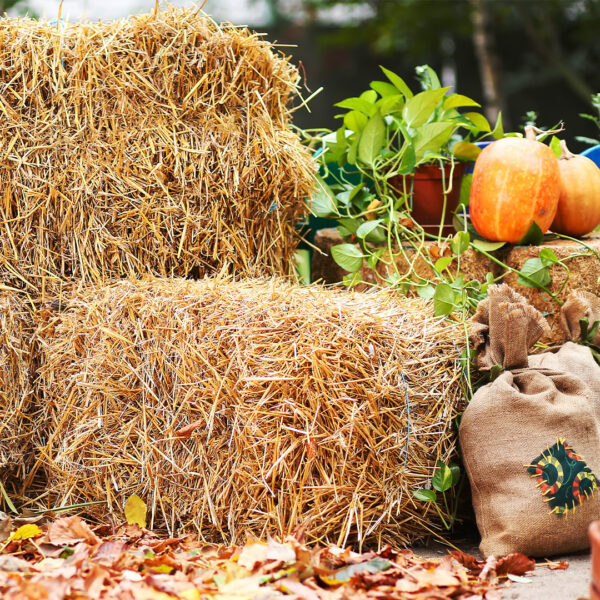 Hay Bales