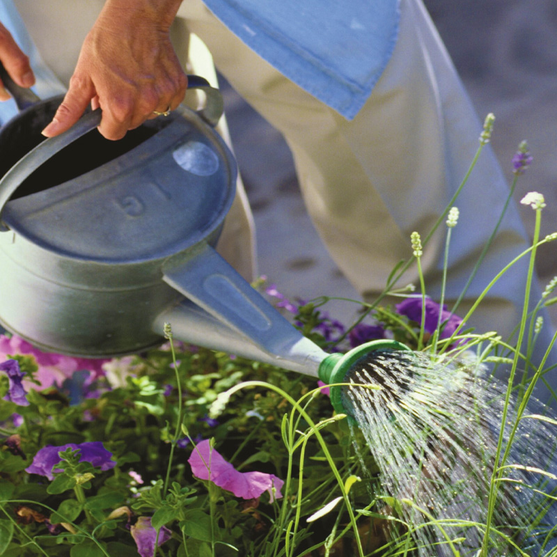 Watering: How Much?