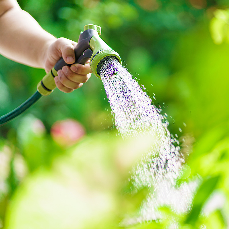 Watering Hose in Garden