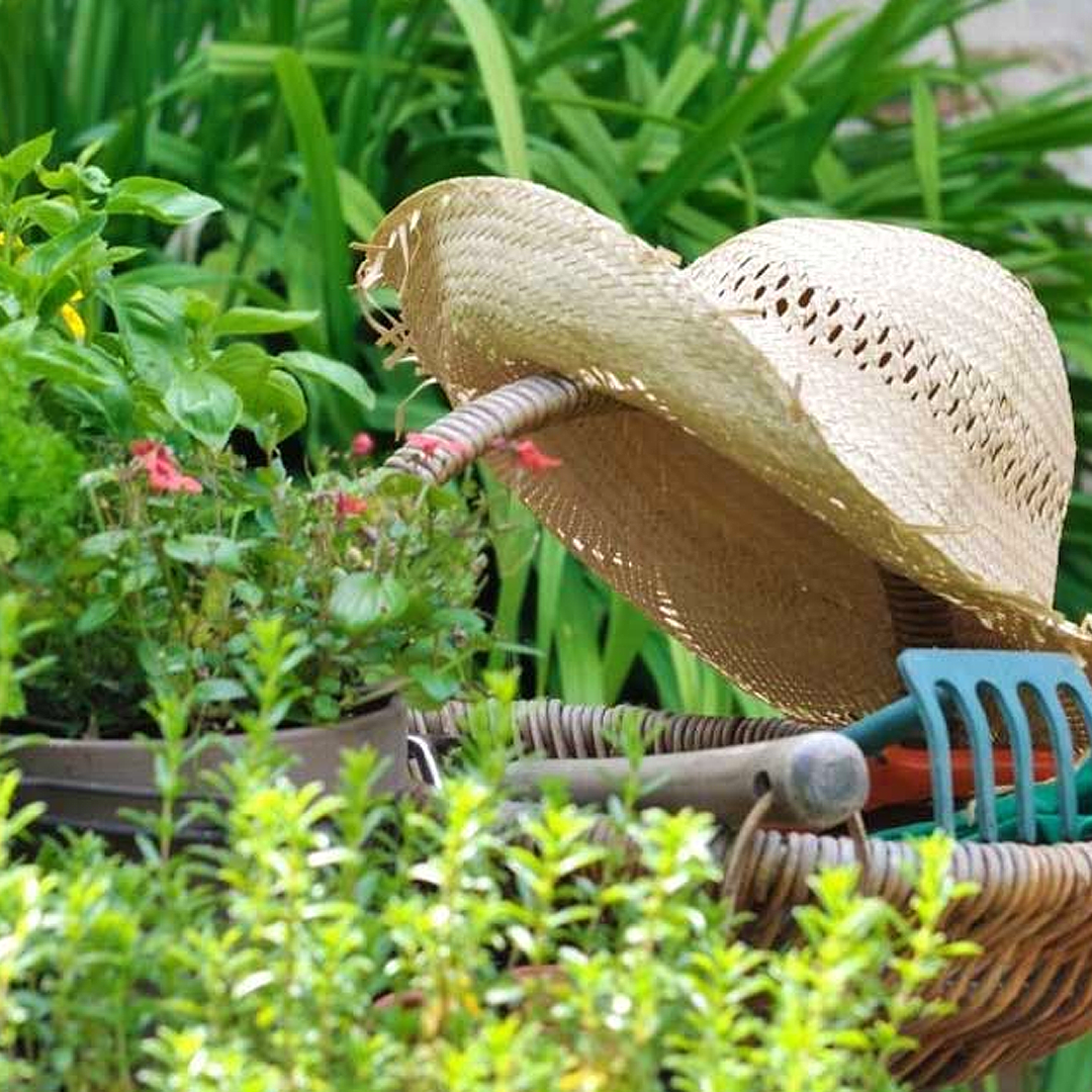 Tips for a Gardening Gift Basket