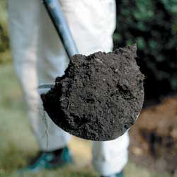 Healthy soil example two